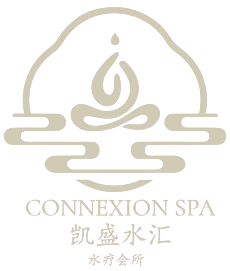 Connexion Spa
